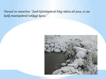 Küünlapäev #7