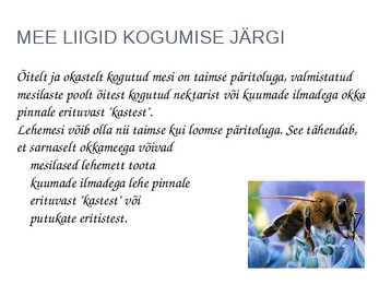MESI #3