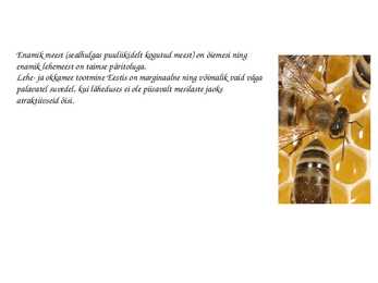 MESI #4