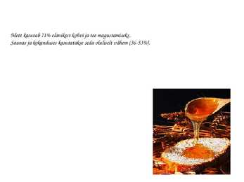 MESI #7