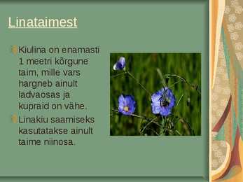 Lina- ja Kanepikiud #3