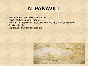 Alpaka #5