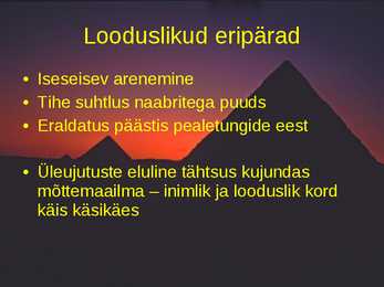 Vana - Egiptus #9
