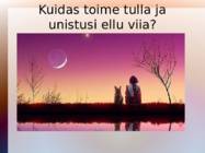 Vabaaine majandusõpetus - bilanss #2