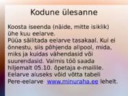 Vabaaine majandusõpetus - bilanss #15