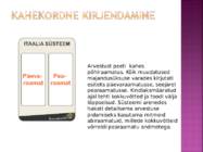 Vabaaine majandusõpetus #11