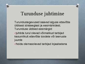 Turundus #13