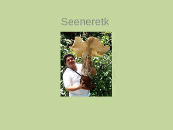 Seeneretk riisikad eestis
