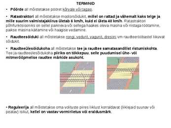 Terminid #18