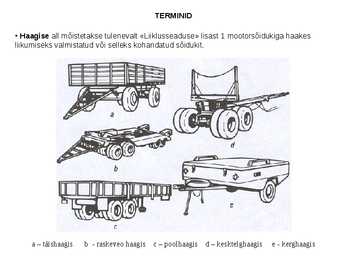 Terminid #3