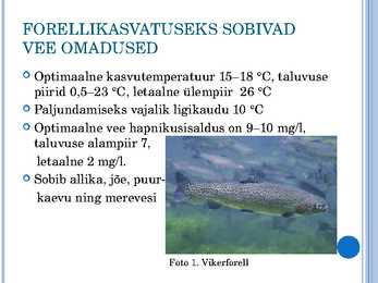 Vikerforellikasvanduse ülesehitus #4