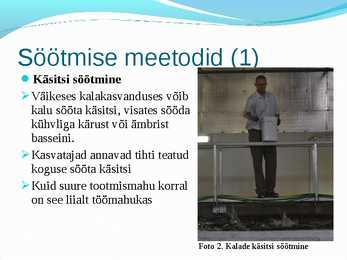 Söödad #13