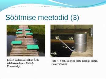 Söödad #15