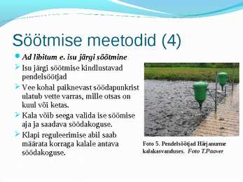 Söödad #16