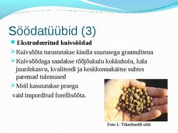 Söödad #6