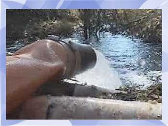 Endangered natural environments #11