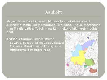 Muraka looduskaitseala #2