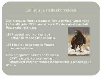 Muraka looduskaitseala #3