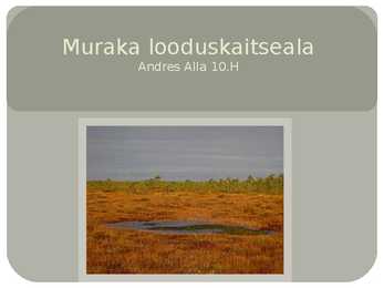 Muraka looduskaitseala