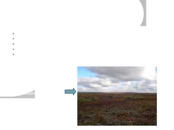 Tundra #2