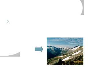 Tundra #6