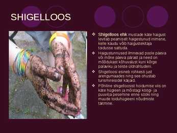 Haigusetekitajad #3