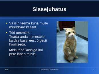 Kasside eest hoolitsemine #2
