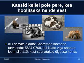 Kasside eest hoolitsemine #13