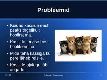 Kasside eest hoolitsemine #3