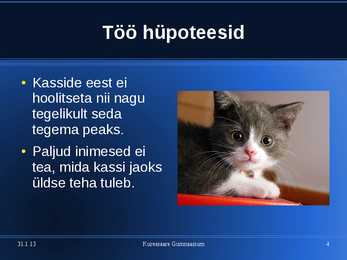 Kasside eest hoolitsemine #4