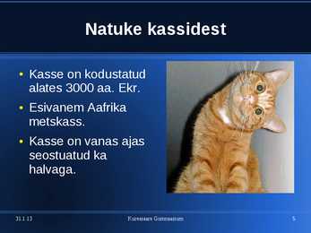 Kasside eest hoolitsemine #5