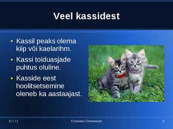 Kasside eest hoolitsemine #6