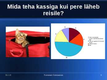 Kasside eest hoolitsemine #9