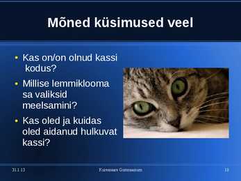 Kasside eest hoolitsemine #10