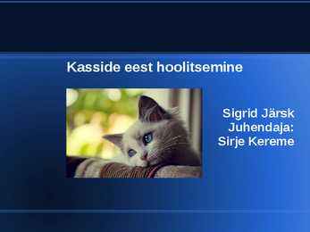 Kasside eest hoolitsemine