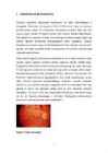 Diabeetiline retinopaatia #7