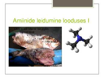 Esitlus amiinide praktilisest tähtsusest #3