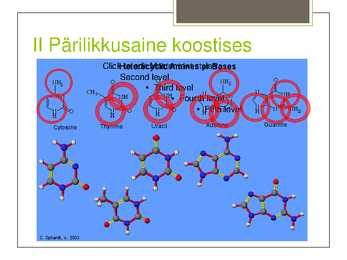Esitlus amiinide praktilisest tähtsusest #4