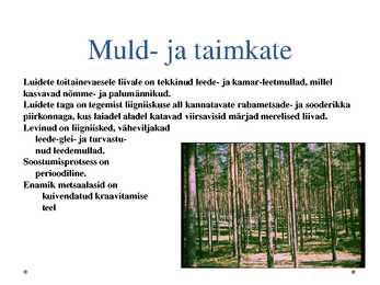 Liivi lahe rannikumadalik #16