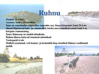 Liivi lahe rannikumadalik #20
