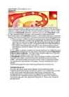 ANATOOMIA 33-34 LOENG