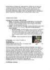 ANATOOMIA 15-LOENG #2