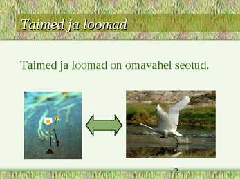 Toiduahelad #2