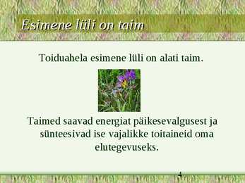 Toiduahelad #4