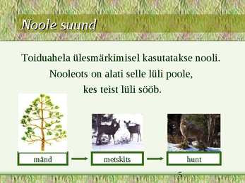 Toiduahelad #5