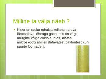 Kloor #4