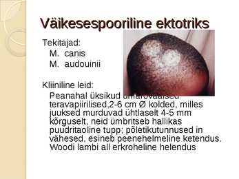 Juustega kaetud peanaha dermatofüütia #6