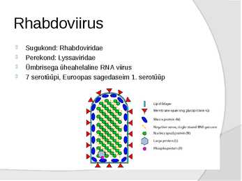 Marutõbi #2