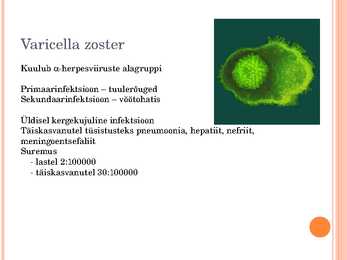 Varizella zoster #2