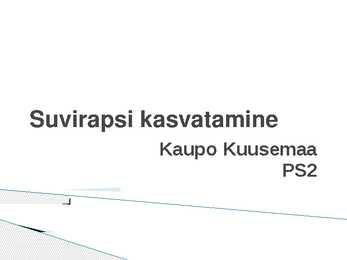 Suvirapsi kasvatamine